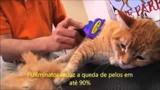 Spectrum Brands - Furminator em ação