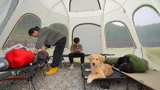 [291] Three men even though two men were absent. | Golden Retriever Puppy