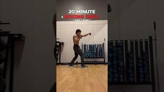 Boxing Workout For ANY Level