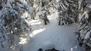 2021 Ski-Doo Expedition SWT off trail