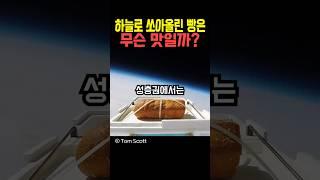 하늘로 쏘아올린 빵은 무슨 맛일까?