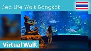 Virtual Walk SEA LIFE  Aquarium and Ocean World - Siam Paragon in Bangkok   Thailand