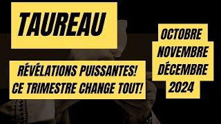 #TAUREAUOCTOBRE NOVEMBRE DÉCEMBRE 2024- RÉVÉLATIONS PUISSANTES  CE TRIMESTRE CHANGE TOUT 