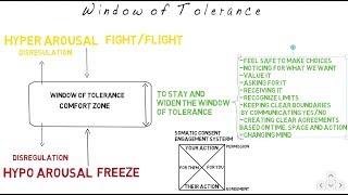 Window of Tolerance Map II Matthias Schwenteck