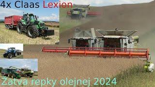 Žatva 2024 / Repka olejná / 4x Claas Lexion 6900, 6800, 770, 670  / PD Brezina Pravotice + služby