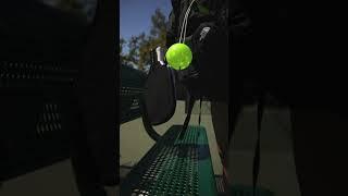 Enjoy pickleball under the California sun!  #Pickleball #California #Astes #PickleballGear