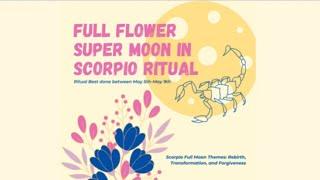 Full Flower Super Moon In Scorpio Ritual with Babs Cheung | Haley Findlay