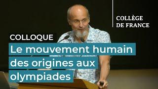 Le mouvement humain des origines aux olympiades (17) - Jean-Jacques Hublin (2023-2024)