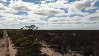 Lake toolibin WA