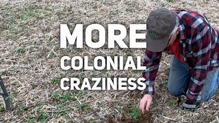 Metal Detecting Colonial Homesite Continues to Give Up Coins, Buttons, and More!