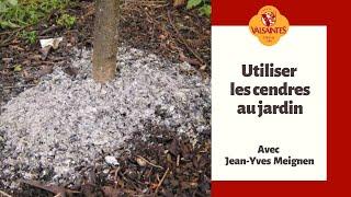 Utiliser les cendres au jardin