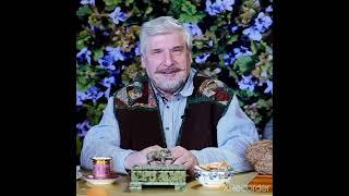 С. Савельев - Алгоритмы и полезные вещества
