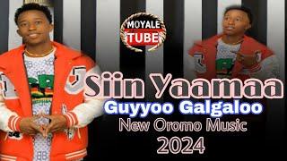 Guyo Galgalo "Siin Yaamaa" New Oromo Music 2024