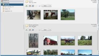 Picasa - Overview