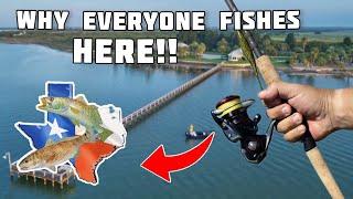 THIS Famous TEXAS Bay is Loaded with BIG Speckled Trout!!!