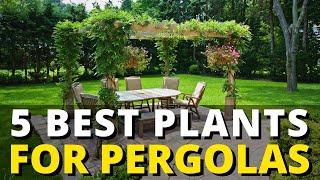 5 Best Plants for Pergolas & Trellises | Garden Trends & Ideas 