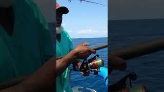 Epic trip on the YANKEE CAPTS! Big muttons and KING FISH! #subscribe #fishing