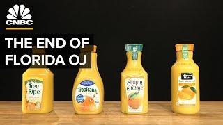 Why Most Orange Juice Comes From Brazil, Not Florida