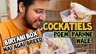 Cocktails Poem Parhny wale | Biryani Box mai agai Breed ️