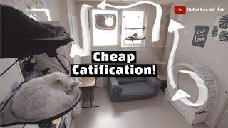 4 Ideas for Catification (Catify) on a Budget!