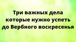 Три важных дела, которые нужно успеть сделать до Вербного воскресенья.