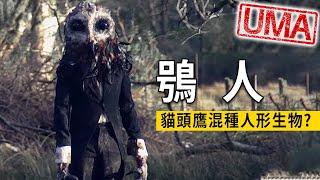 【UMA檔案】英國鴞人-貓頭鷹人型生物，莫南教堂塔樓的目擊事件。Owlman