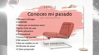 Conoces mi pasado - AreVLe