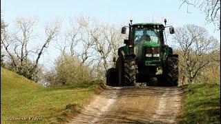 Sheep Feeding on Beet and John Deere Going Tanking.