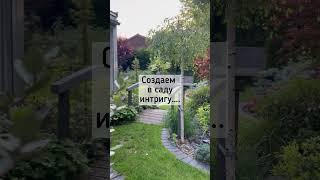 Интрига в саду #shortvideo #garden