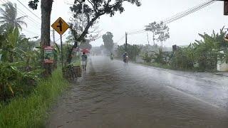 Super heavy rain and strong thunder in my village|Thunderstorm| fell asleep to the sound of the rain