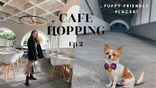 Cafe Hopping in Hong Kong EP 2︎ ｜Puppy Friendly places to visit｜寵物友善cafes