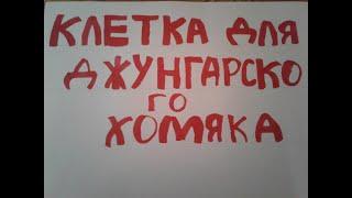 Все о клетке для джунгарского хомяка