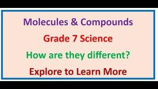 Molecules and Compounds | Mystery | Similarities and Differences | Why | Explanation