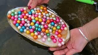 Great harvest! Girl hunts mussels in the lake and collects hundreds of perfect colorful pearls