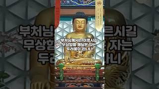 하루 한 번, 부처님 귀한말씀 #부처님말씀 #부처님가르침 #부처님명언 #불교명언 #인생조언 #불교공부 #마음공부 #명언