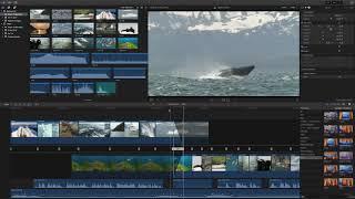 FCP X Precision Editor