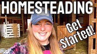 How We Would Start a Homestead in 2022  Tips To Get Started!