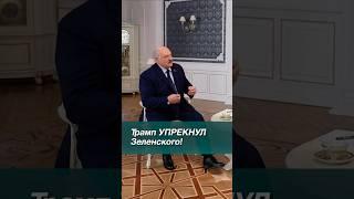 Лукашенко: Трамп упрекнул Зеленского! Почему ты НЕ остановил войну? // Интервью Науфалу #shorts