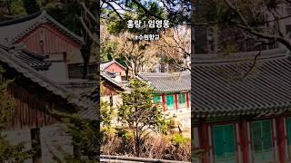 #홍랑 #임영웅 #영웅시대 #수원향교 #감성힐링TV