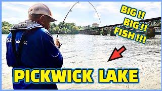 Fishing PICKWICK LAKE below Wilson Dam on the Tennessee River !!