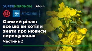 Хвороби ріпаку в насиченій сівозміні та генетична стійкість до розтріскування стручків /СуперАгроном