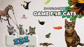 CAT Games | Ultimate Cat TV Compilation Vol 131 | 2 HOURS 
