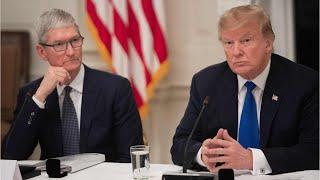 Donald Trump reveals Apple CEO Tim Cook called him over financial penalties