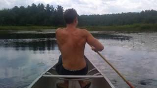 Davey Wavey's Treehouse Adventures!