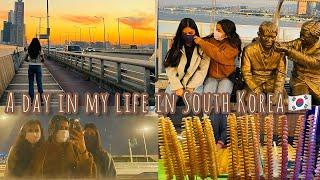 A day in my life in South Korea | A day out with my Indian friends in South Korea | Indian in Korea