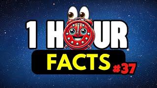 1 HOUR Of AMAZING Random FACTS You Have To See⏰| #37