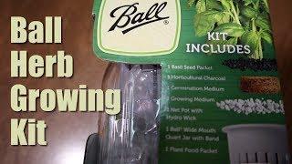 Ball basil herb growing kit review