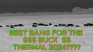 BEST BANG FOR YOUR BUCK THERMAL 2024