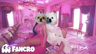 KAROL G, Nicki Minaj - Tusa (Cover Perros)