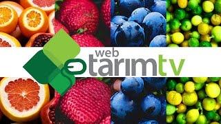 Tarım TV
